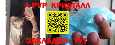 стаф Будённовск