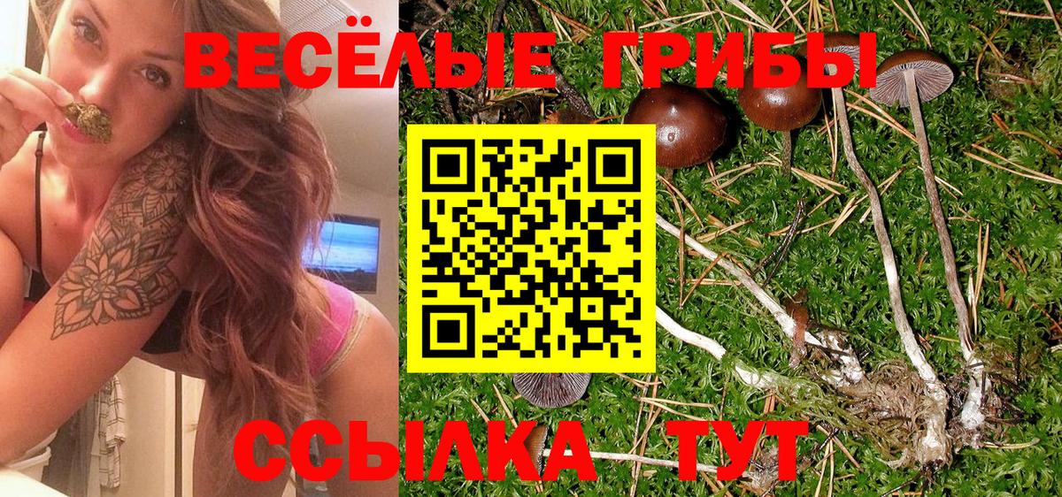 Кореновск  Галлюциногенные грибы мицелий  закладки  Вход с VPN 
