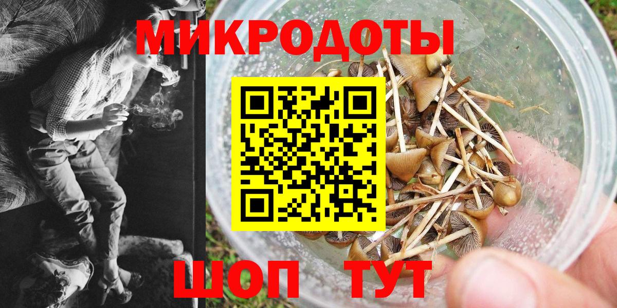 Псилоцибиновые грибы Кореновск