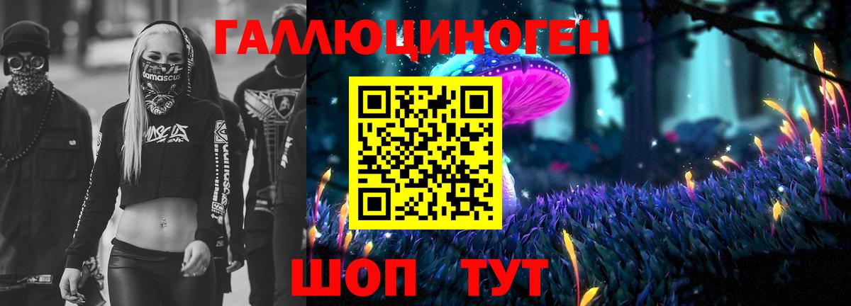 Галлюциногенные грибы GOLDEN TEACHER Кореновск
